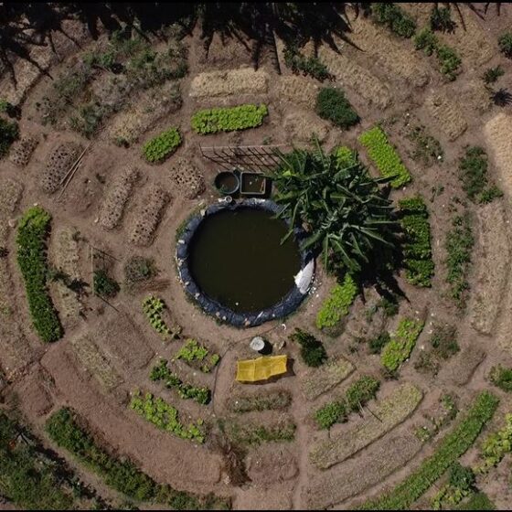 capa unisol brasil - caue colodro